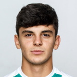 A. Hajdari Photo
