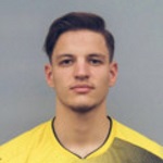 A. Pjetrovic Photo