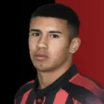 A. Vallejos