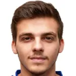 D. Nesovic
