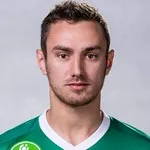 D. Bucșa