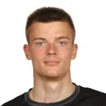 D. Vlasov