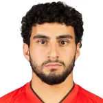 H. Minasyan