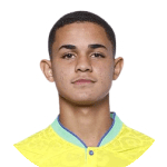 Luiz Gustavo Photo