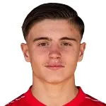 M. Gevorgyan