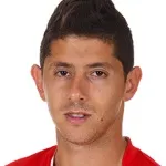M. Meliksson