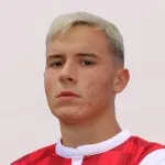 M. Mitić