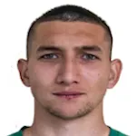 N. Karabashev