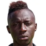 N. Lamine