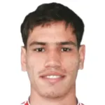 N. Píriz