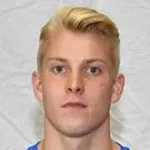 N. Heidemann