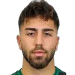 O. Özleşen