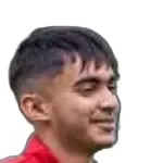 S. Varshneya