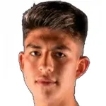 S. Villamíl