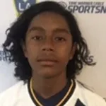 S. Nava