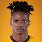 T. Dube