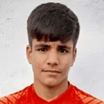 Vini