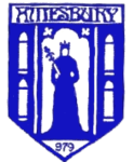 Amesbury Town Logo