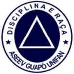 ASEEV logo
