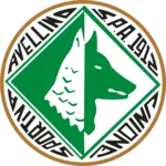 Avellino U19 logo