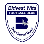 Bidvest Wits logo