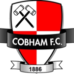 Cobham logótipo