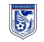 Dalian Yingbo B logótipo