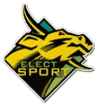 Elect-Sport