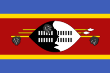 Eswatini U20 logótipo