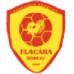 Flacăra Horezu logótipo