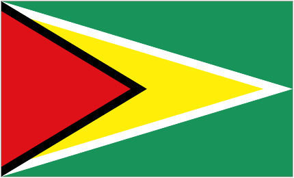 Guyana W logótipo