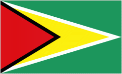 Guyana W U17 logótipo