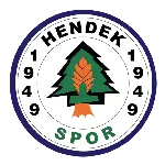 Hendek Spor logo