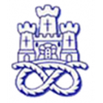 Newcastle Town Logo