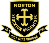 Norton & Stockton logótipo