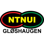 NTNUI logótipo