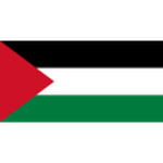 Palestine W Logo