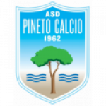 Pineto Logo