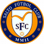 Salto logótipo