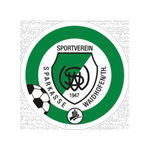 Waidhofen / Thaya Logo