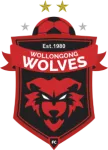 Wollongong Wolves U20