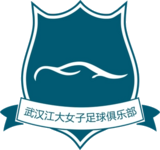 Wuhan Jiangda W logótipo