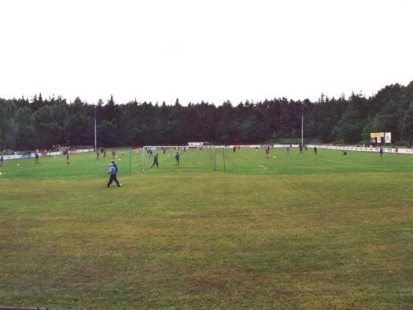 Friesen-Stadion Estádio