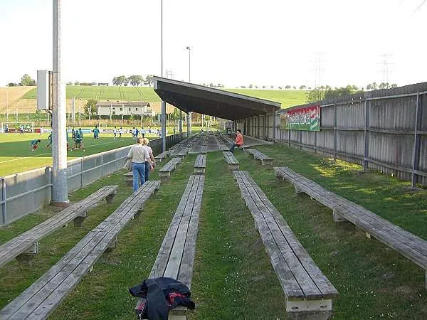 Fröling-Stadion Estádio
